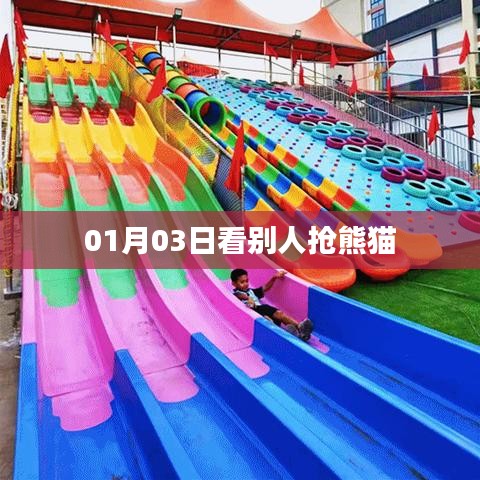 熊貓搶先看，元旦新景象