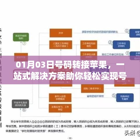 蘋果號碼轉(zhuǎn)移一站式解決方案，輕松實(shí)現(xiàn)轉(zhuǎn)接