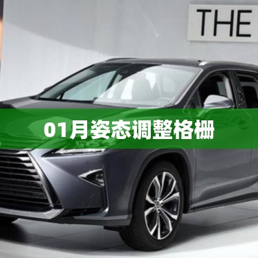 姿態(tài)調(diào)整格柵，一月操作指南