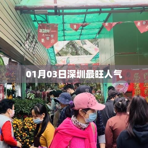 深圳人氣爆棚，最新人氣榜單揭曉