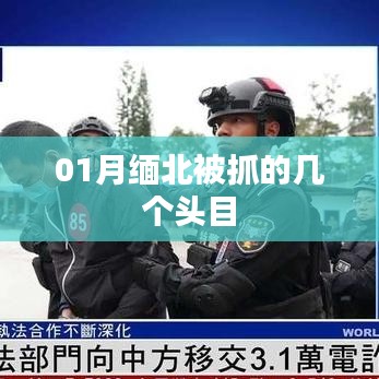 緬北行動，一月頭目抓捕行動回顧