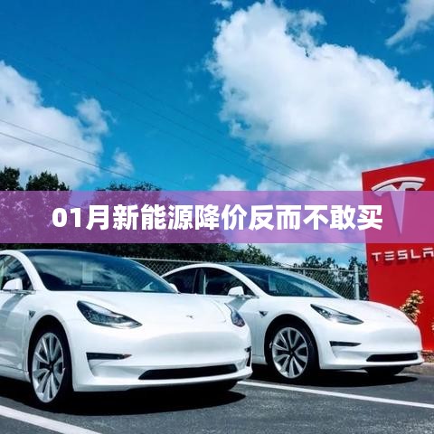 新能源降價引發(fā)觀望心態(tài)，消費者猶豫待購