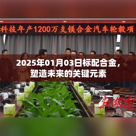 標(biāo)配合金，塑造未來關(guān)鍵元素，2025年展望