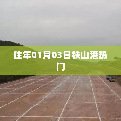 鐵山港元旦后熱度概覽，歷年一月初的熱門事件回顧