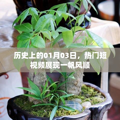 熱門短視頻展現(xiàn)，歷史一月三日一帆風(fēng)順時(shí)刻