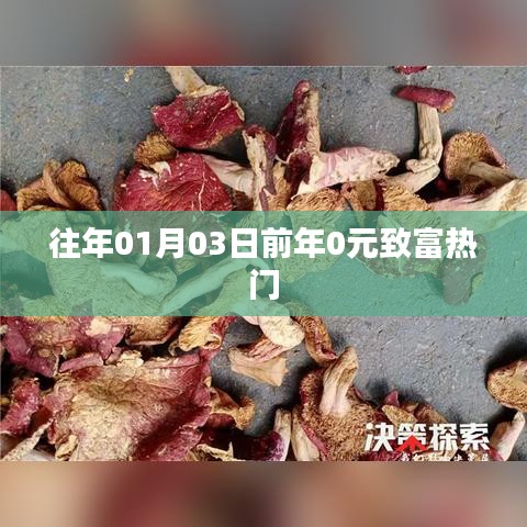 「歷年致富熱門回顧，年前零元起步熱門商機(jī)」