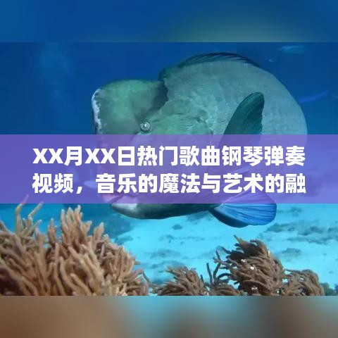 音樂(lè)的魔法與藝術(shù)融合，XX月XX日熱門歌曲鋼琴?gòu)椬嘁曨l欣賞