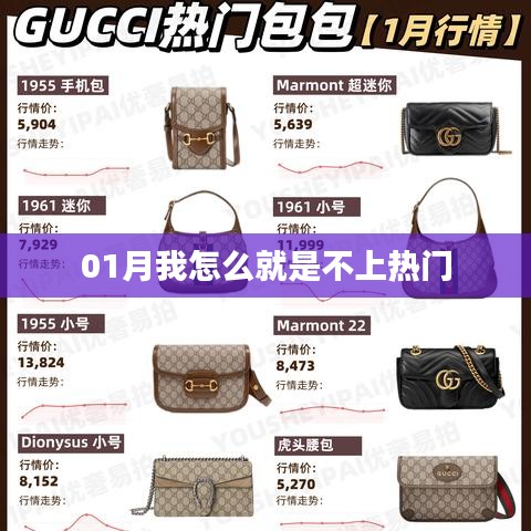 如何提升關(guān)注度，一月熱門突破策略