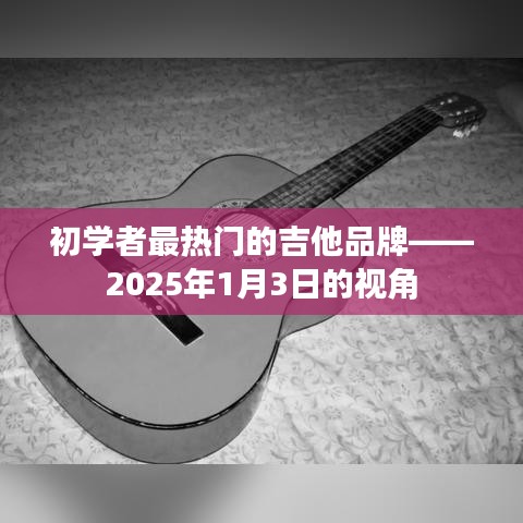 初學(xué)者熱門吉他品牌推薦，2025年視角