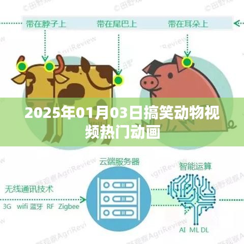 2025年搞笑動(dòng)物視頻盛宴，熱門(mén)動(dòng)畫(huà)歡樂(lè)來(lái)襲