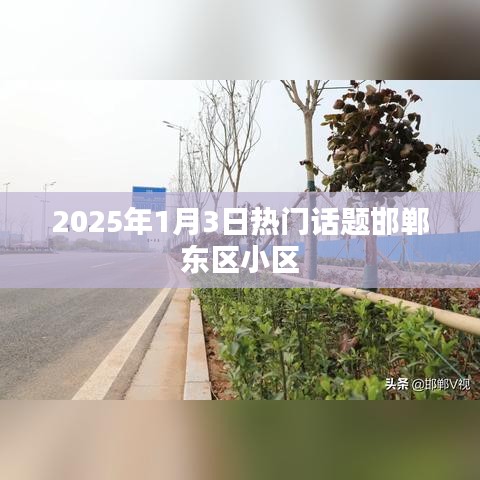 邯鄲東區(qū)小區(qū)，聚焦2025年1月3日熱議話題