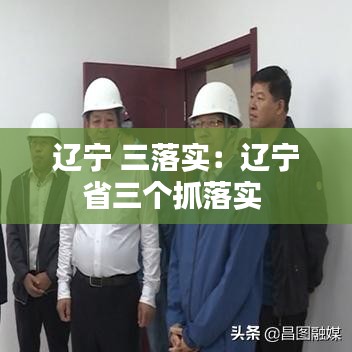 遼寧 三落實：遼寧省三個抓落實 