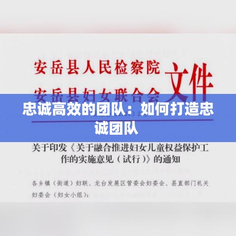 忠誠高效的團隊：如何打造忠誠團隊 