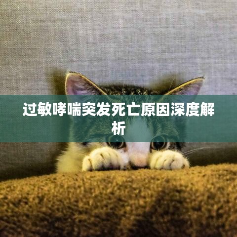 過敏哮喘突發(fā)死亡原因深度解析