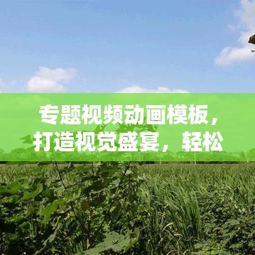 專題視頻動畫模板，打造視覺盛宴，輕松吸引眼球！