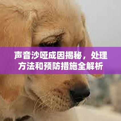 聲音沙啞成因揭秘，處理方法和預(yù)防措施全解析