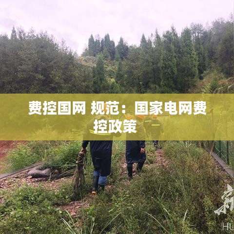 費控國網 規(guī)范：國家電網費控政策 