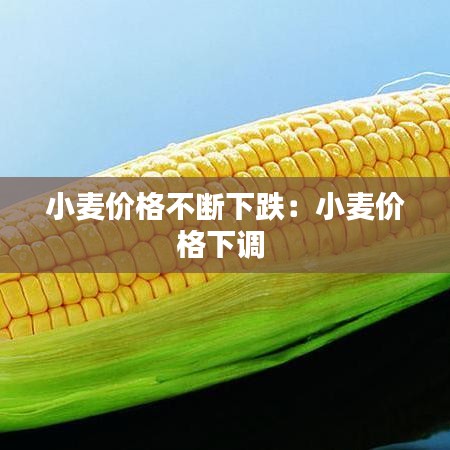 小麥價格不斷下跌：小麥價格下調(diào) 