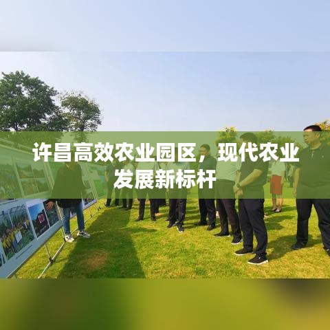 許昌高效農(nóng)業(yè)園區(qū)，現(xiàn)代農(nóng)業(yè)發(fā)展新標桿
