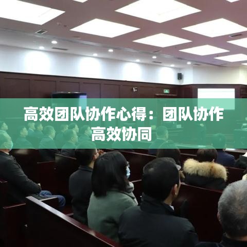 高效團(tuán)隊(duì)協(xié)作心得：團(tuán)隊(duì)協(xié)作高效協(xié)同 