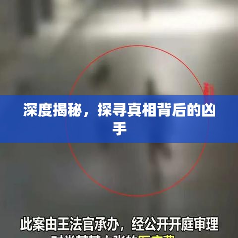 深度揭秘，探尋真相背后的兇手
