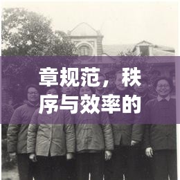 章規(guī)范，秩序與效率的保障基石