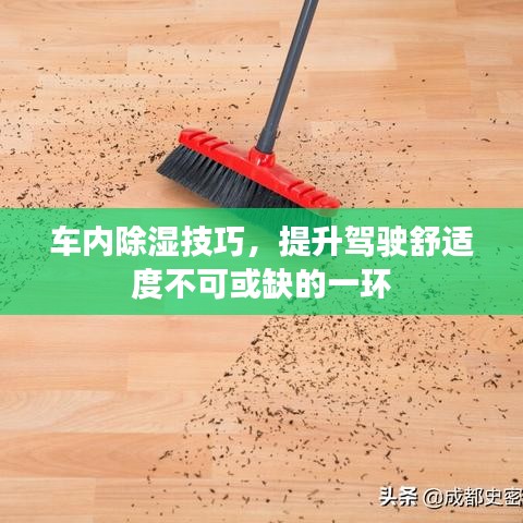 車內(nèi)除濕技巧，提升駕駛舒適度不可或缺的一環(huán)