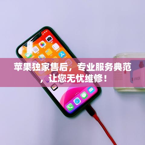 蘋果獨(dú)家售后，專業(yè)服務(wù)典范，讓您無憂維修！