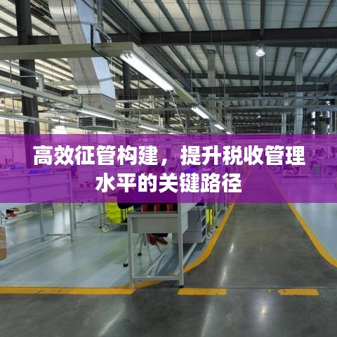 高效征管構建，提升稅收管理水平的關鍵路徑