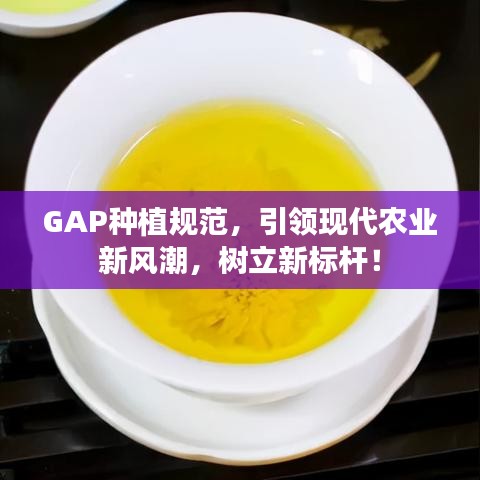 GAP種植規(guī)范，引領(lǐng)現(xiàn)代農(nóng)業(yè)新風(fēng)潮，樹(shù)立新標(biāo)桿！