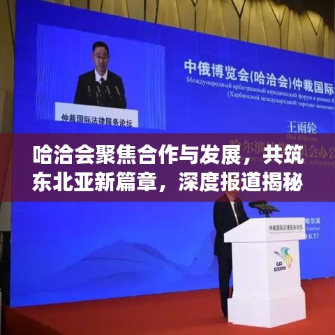 哈洽會(huì)聚焦合作與發(fā)展，共筑東北亞新篇章，深度報(bào)道揭秘盛會(huì)亮點(diǎn)