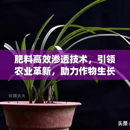 肥料高效滲透技術(shù)，引領(lǐng)農(nóng)業(yè)革新，助力作物生長新動力