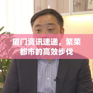 廈門(mén)資訊速遞，繁榮都市的高效步伐