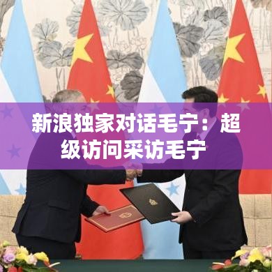 新浪獨(dú)家對(duì)話毛寧：超級(jí)訪問(wèn)采訪毛寧 