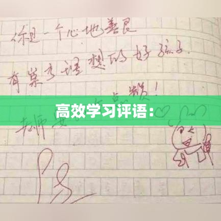 高效學(xué)習(xí)評語： 