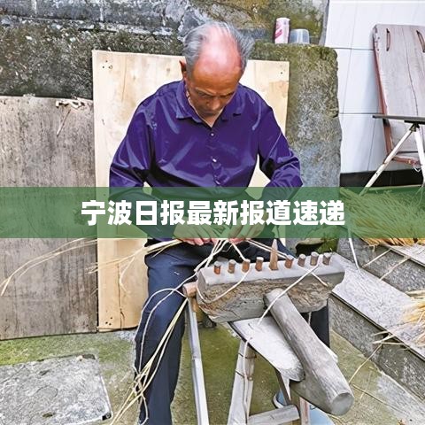 寧波日?qǐng)?bào)最新報(bào)道速遞