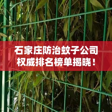 石家莊防治蚊子公司權(quán)威排名榜單揭曉！