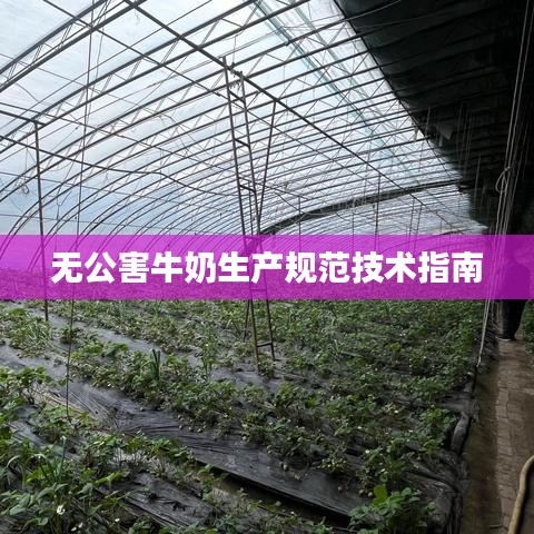 無(wú)公害牛奶生產(chǎn)規(guī)范技術(shù)指南