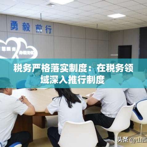 稅務(wù)嚴(yán)格落實制度：在稅務(wù)領(lǐng)域深入推行制度 