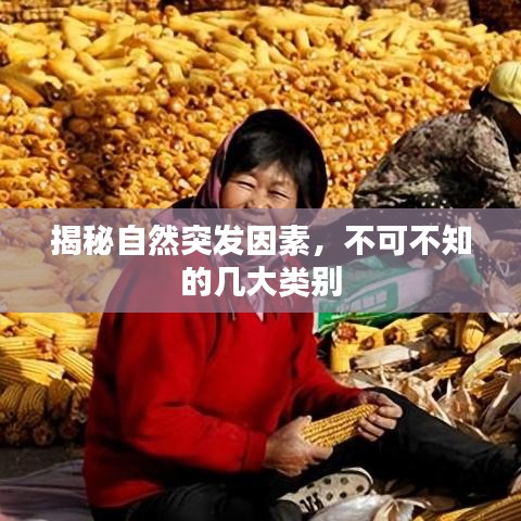 揭秘自然突發(fā)因素，不可不知的幾大類別