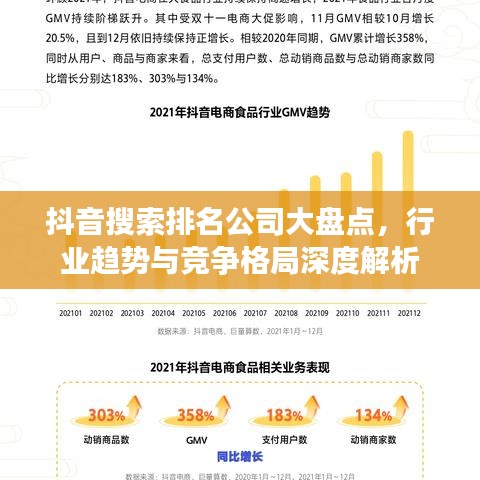 抖音搜索排名公司大盤點(diǎn)，行業(yè)趨勢與競爭格局深度解析