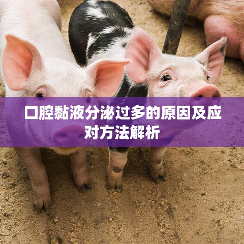 口腔黏液分泌過多的原因及應(yīng)對方法解析