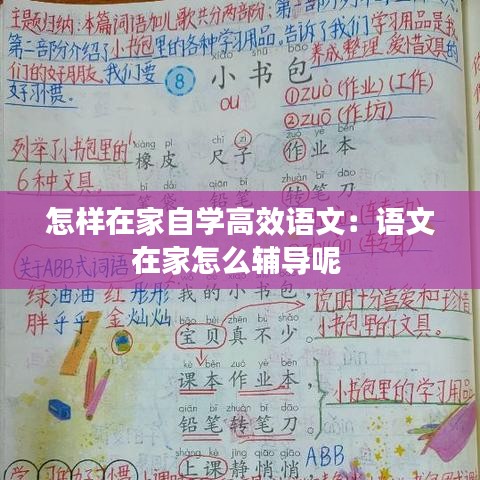 怎樣在家自學(xué)高效語文：語文在家怎么輔導(dǎo)呢 