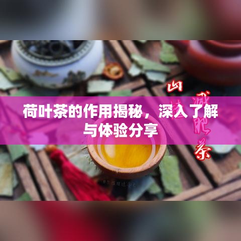荷葉茶的作用揭秘，深入了解與體驗分享