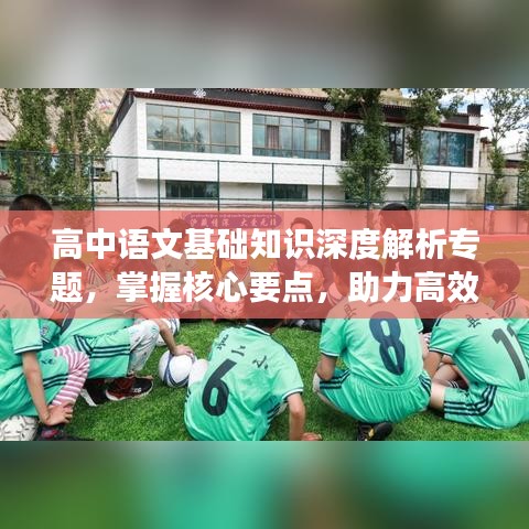 高中語文基礎(chǔ)知識深度解析專題，掌握核心要點，助力高效學(xué)習(xí)！
