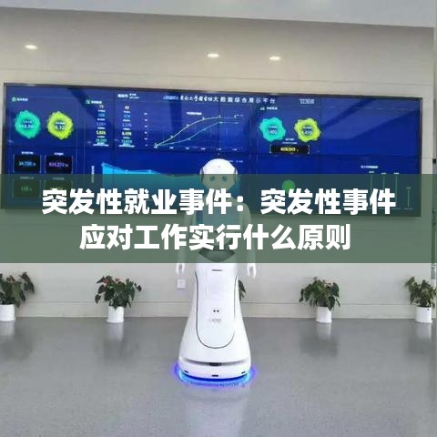 突發(fā)性就業(yè)事件：突發(fā)性事件應(yīng)對工作實行什么原則 