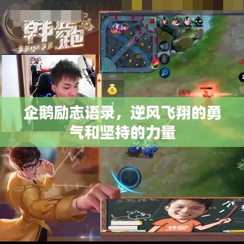 企鵝勵(lì)志語(yǔ)錄，逆風(fēng)飛翔的勇氣和堅(jiān)持的力量