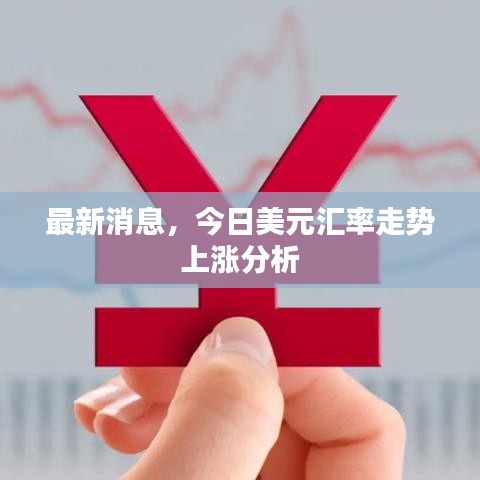 最新消息，今日美元匯率走勢(shì)上漲分析