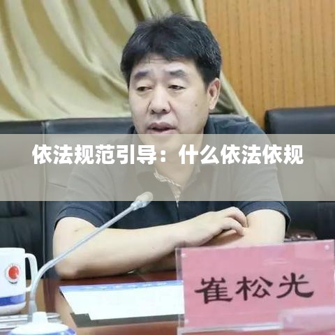 依法規(guī)范引導：什么依法依規(guī) 