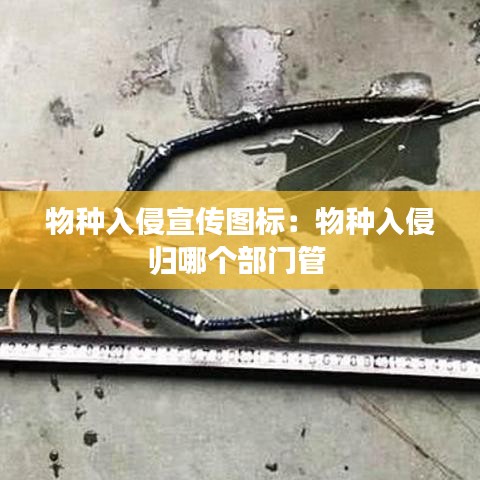 物種入侵宣傳圖標(biāo)：物種入侵歸哪個(gè)部門管 